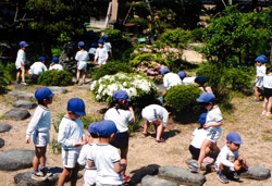 認定こども園　あおい幼稚園　教育方針