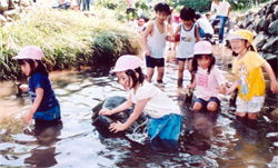 高千帆小百合幼稚園　園の行事