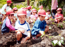 亀山幼稚園　園の特色