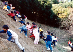 認定こども園 山口中央幼稚園　園の行事