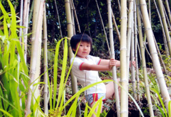 認定こども園　もみじ幼稚園　園の行事