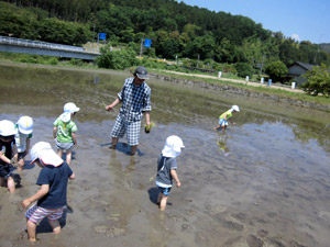 精華幼稚園　教育方針