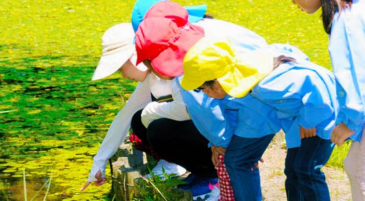 下松暁の星幼稚園　園の行事