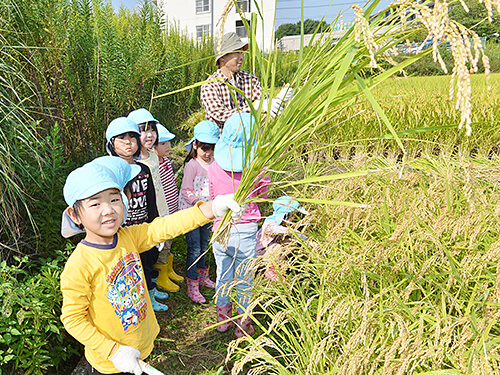 慈光幼稚園　園の特色