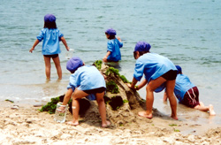 認定こども園　あおい幼稚園　園の行事
