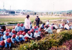 柳井幼稚園　園の行事