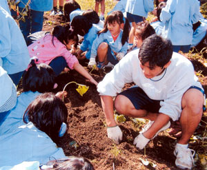 山口県鴻城高校附属幼稚園　園の行事