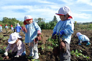 認定こども園 伊佐中央幼稚園　園の特色